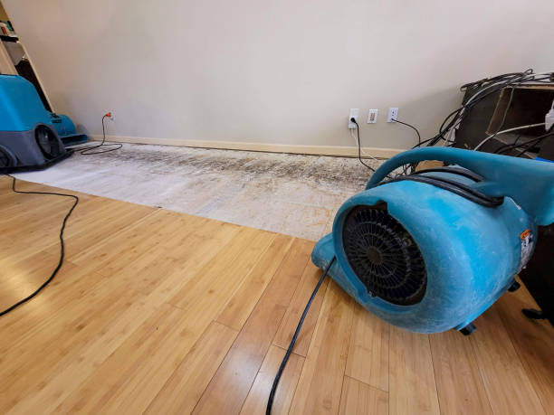 Professional Ceiling Water Damage Repair technician working in Adelanto, CA